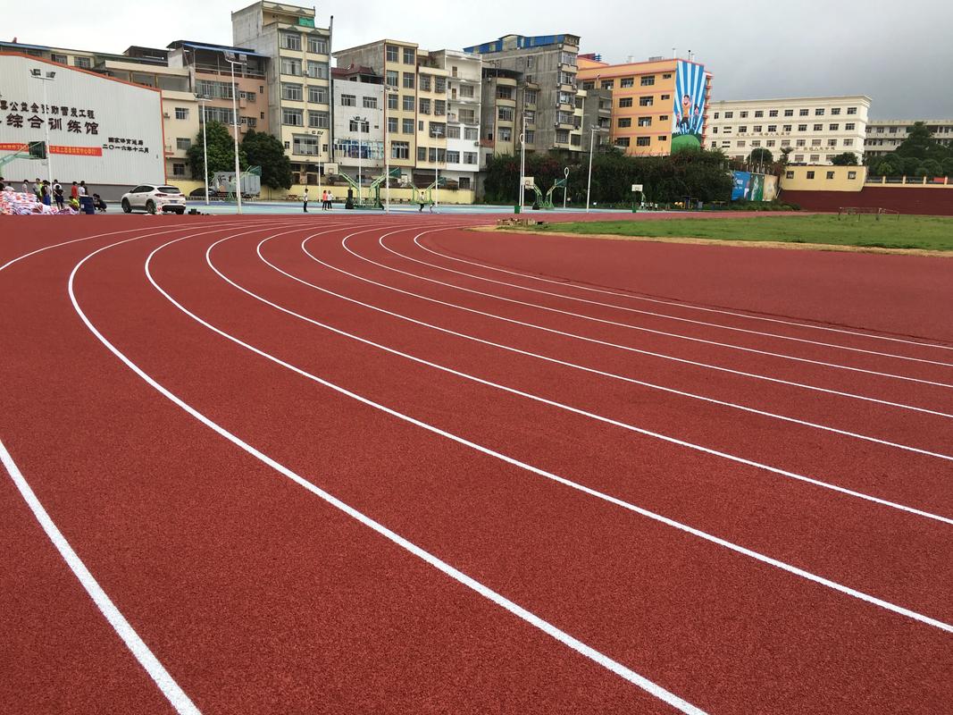 临沧市学校塑胶跑道塑胶跑道材料 - 哪里好